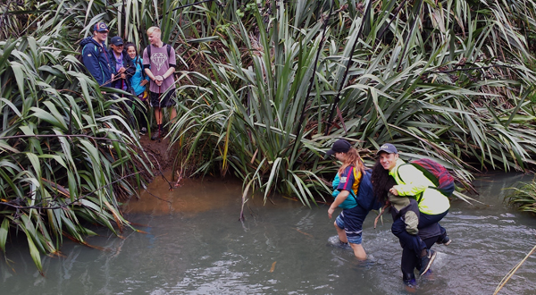 stream crossing